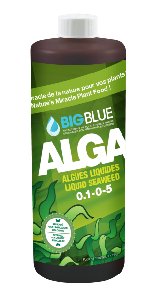 BIG BLUE ALGA LIQUID SEAWEED 250ML