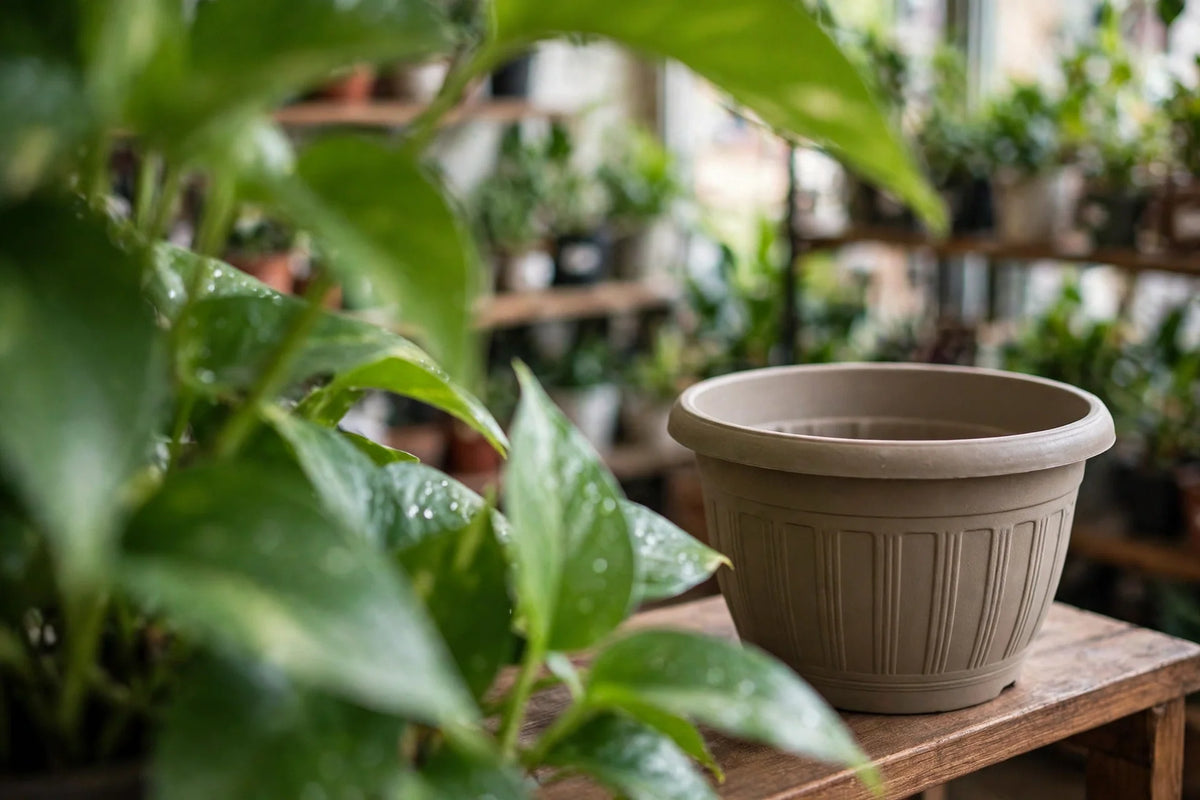 ARCO PLANTER 15”