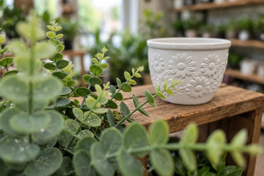AB White Daisy Round Planter Large 4.5"H