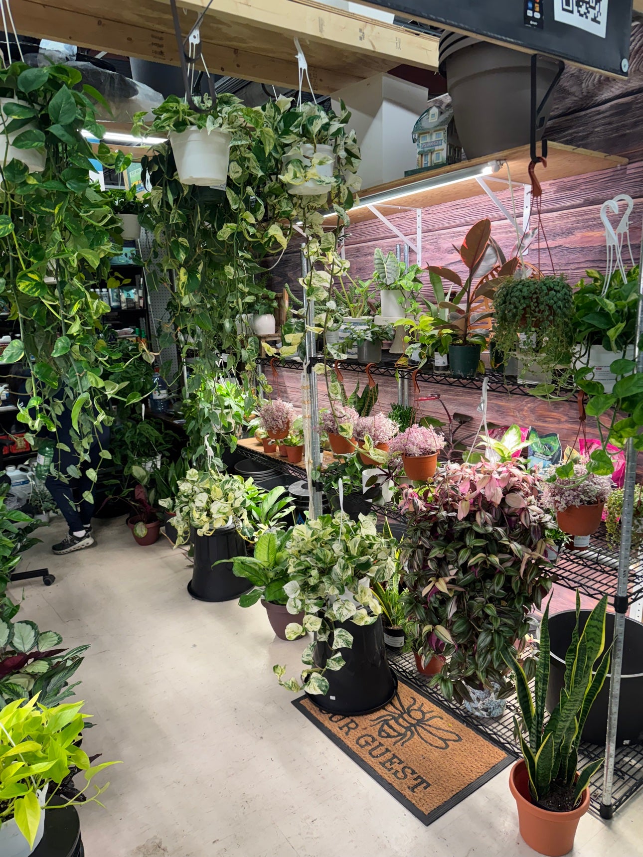 Inside the Grow Pro booth at Oshawa Markets