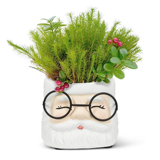 Small Santa Planter with Glasses 3"H