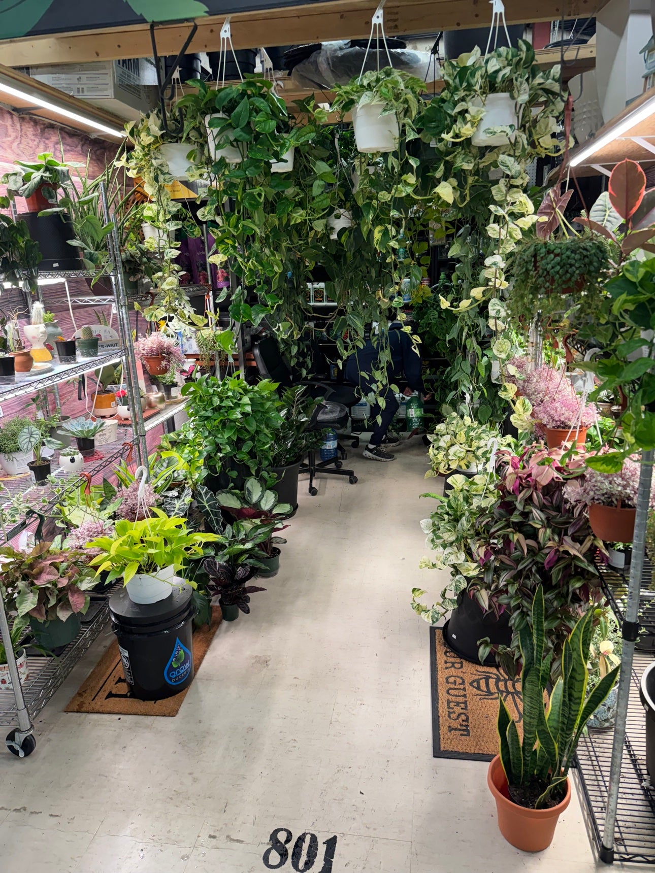 Grow Pro booth 801 at Oshawa Markets - storefront