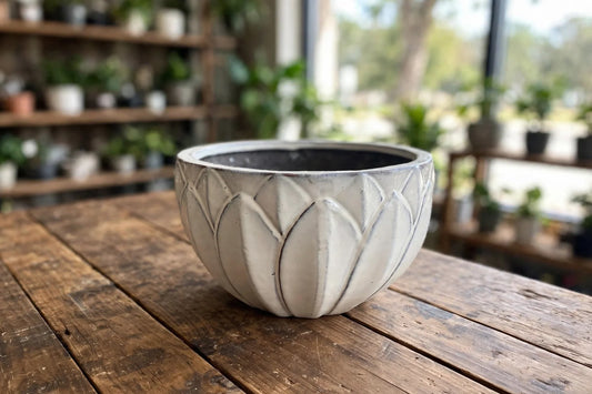AB White Daisy VASE Planter 6.5"H