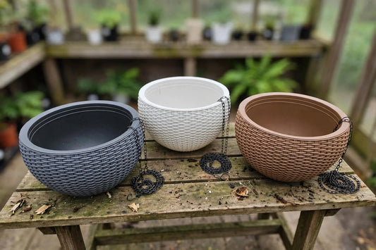 AB Hanging Planter (various)