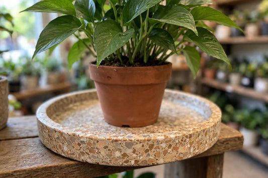 24" Terrazzo Saucer SandStone