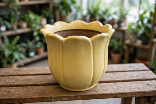 AB Large Planter w/Tulip Ylw 6.5H