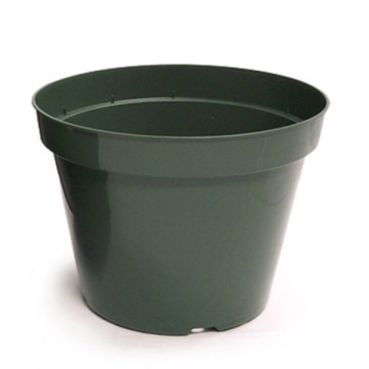 10" Azalea Elite Plastic Pot Green