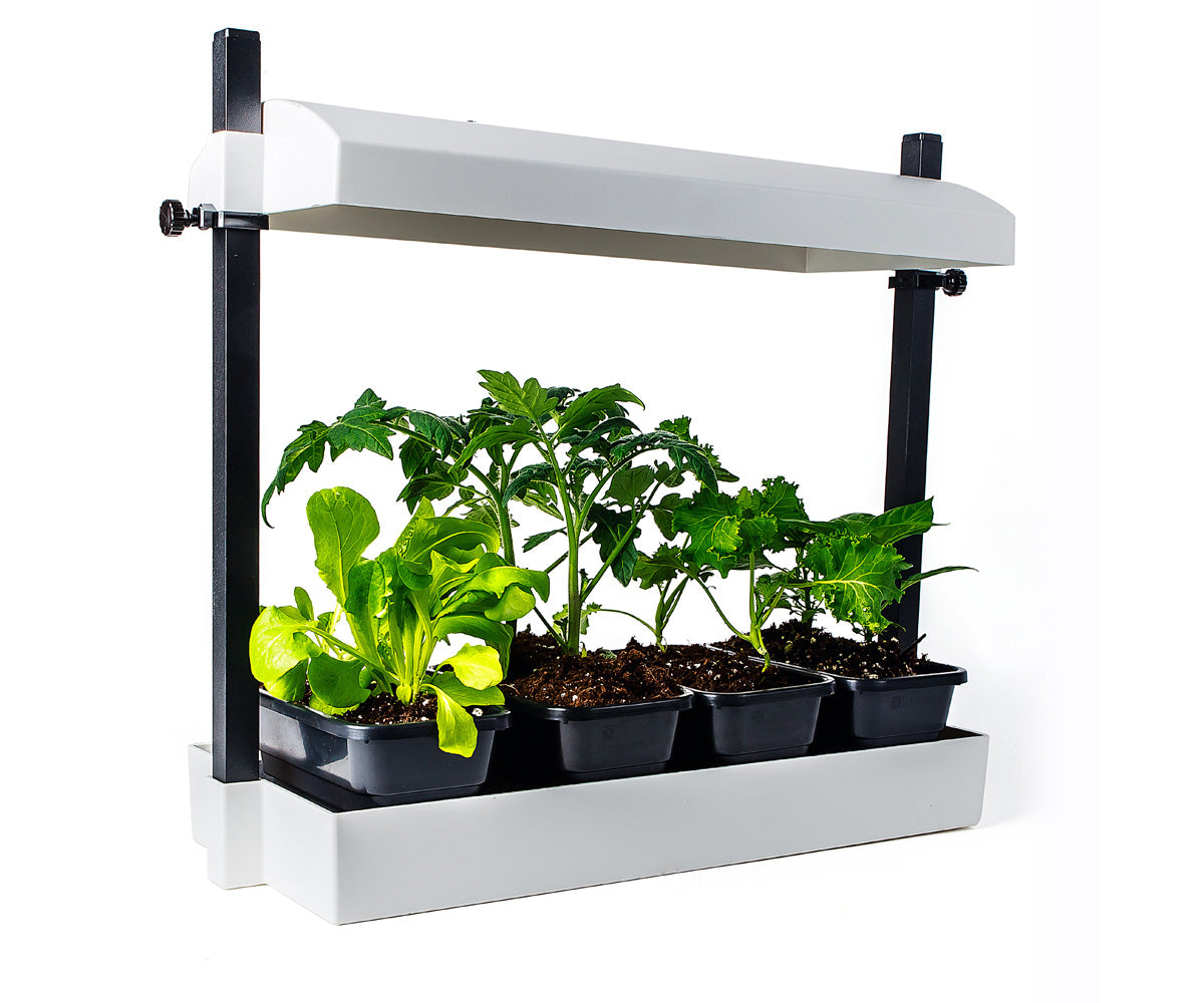 Growlight Garden Micro - White - T5HO