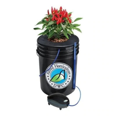 Alfred's DWC (Deep Water Culture) 5 Gallon - Plant System Kit