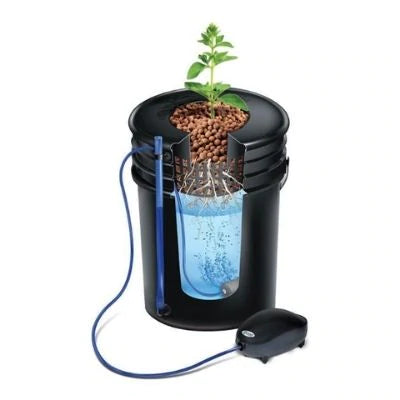 Alfred's DWC (Deep Water Culture) 5 Gallon - Plant System Kit