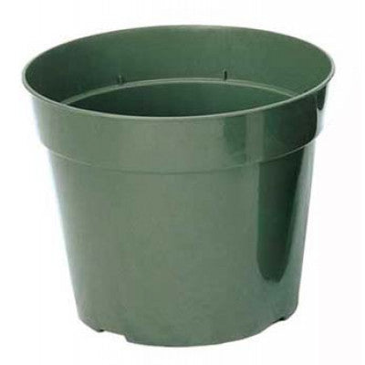 4" Standard Green Plastic Pot Regal